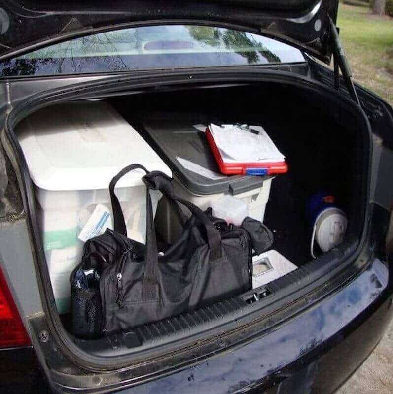 A car trunk filled with luggage and bags.